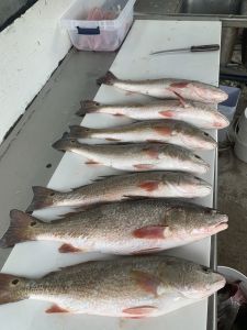 Diamond Shoals Restaurant photo